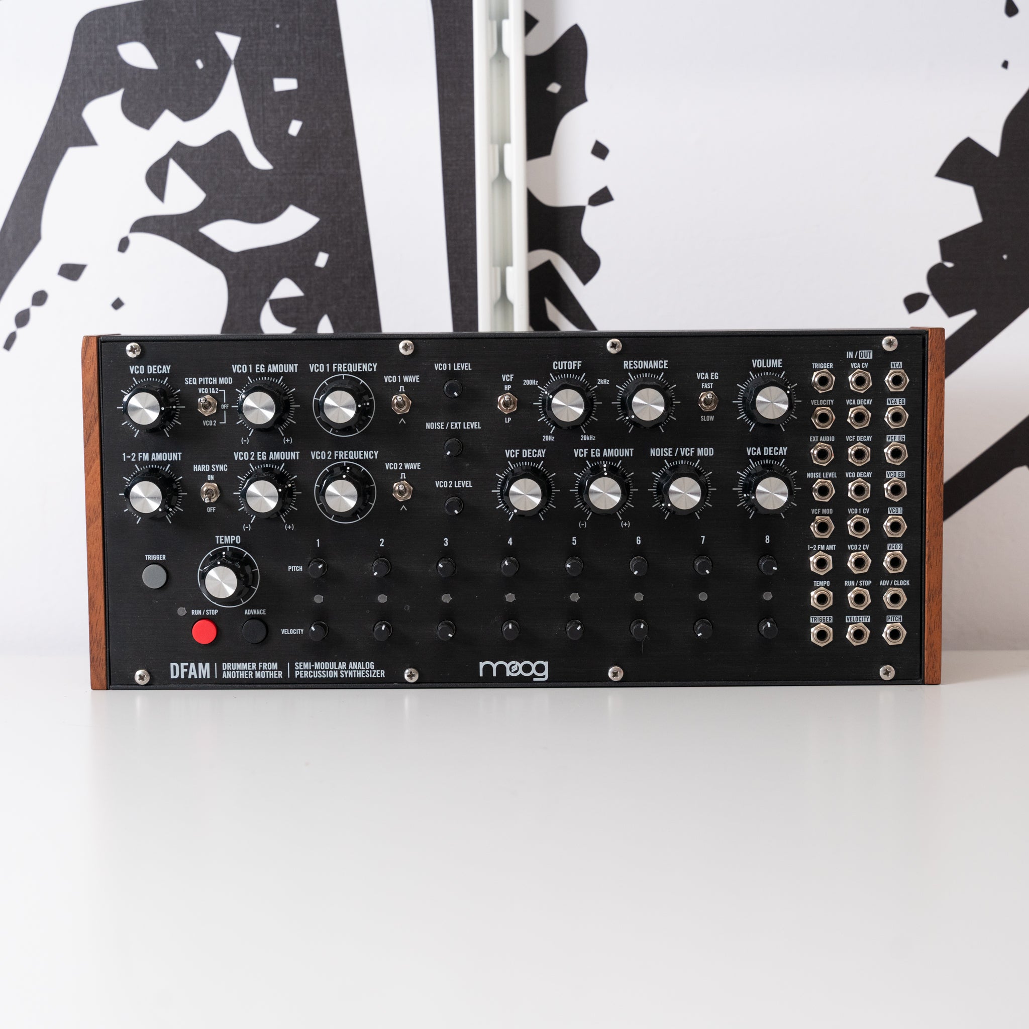 DFAM (Used) – Cicada Sound