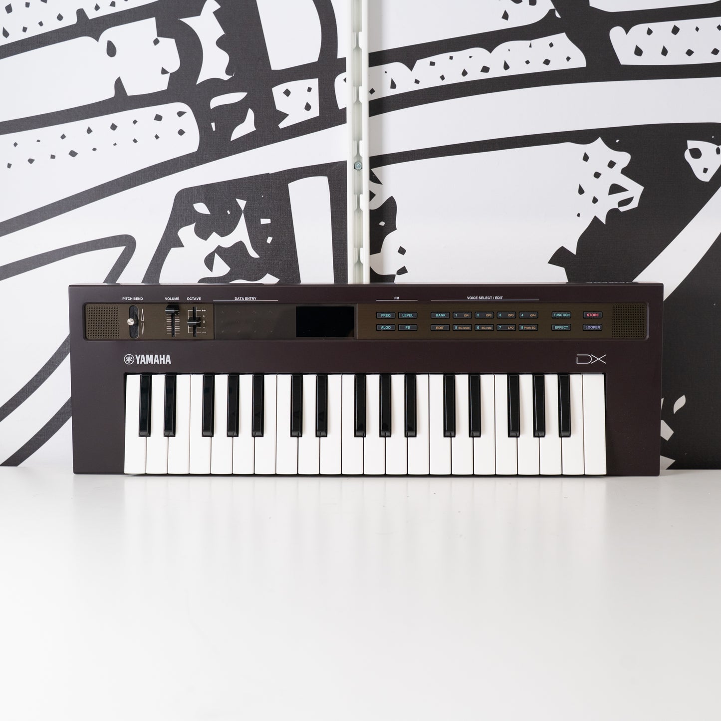 Reface DX (Used)