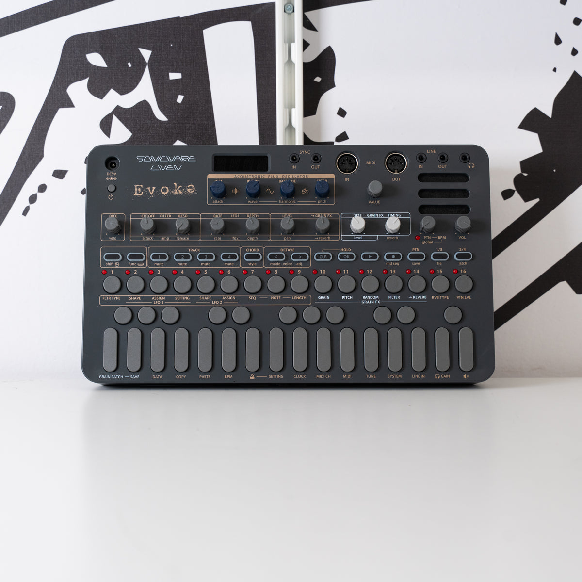 Liven Evoke (Used)