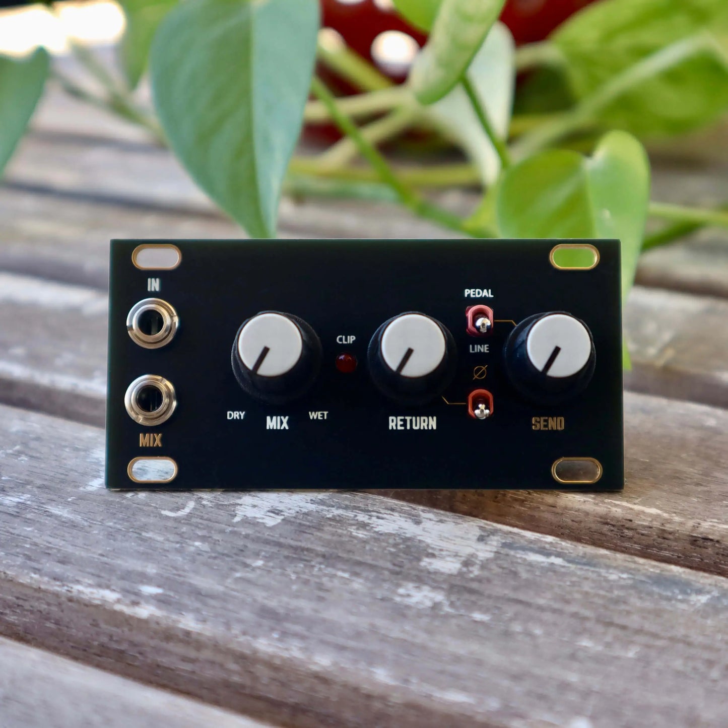 Pedal I/O Jacks 1U - Black & Gold Panel
