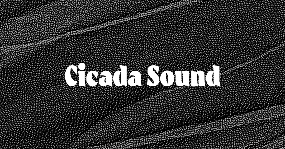 Cicada Sound — synths, modular, pedals; music shop in Ottawa, Canada