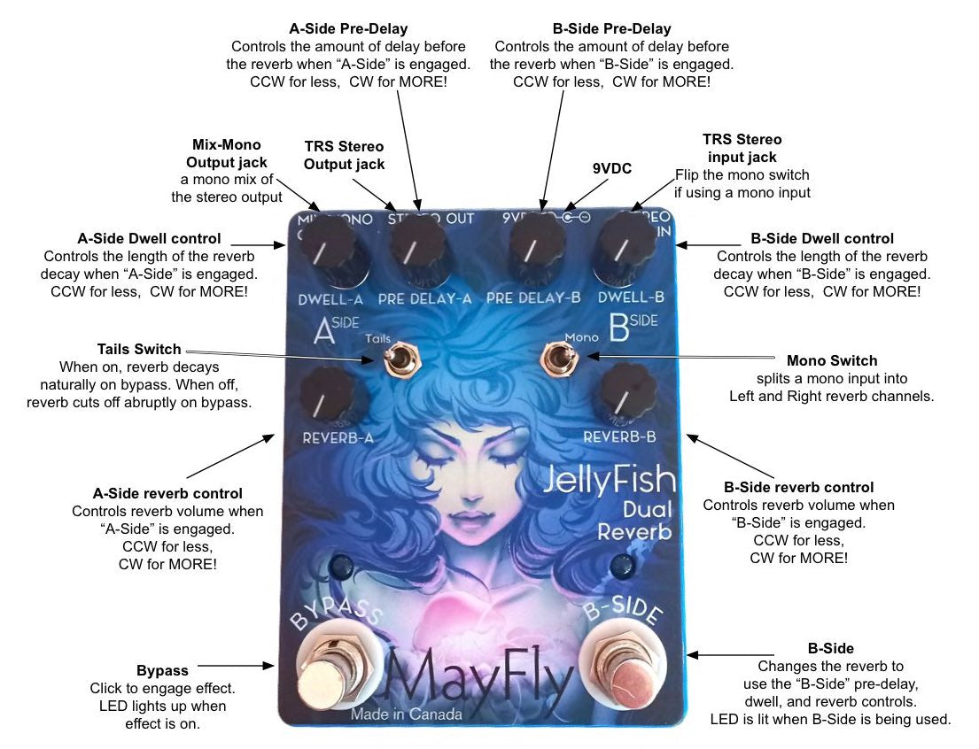 Jellyfish Dual Reverb
