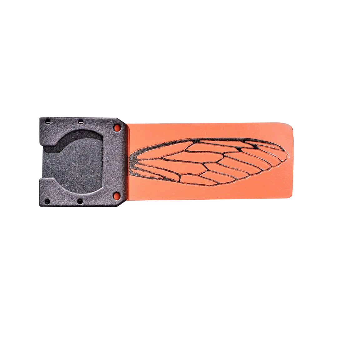Cicada Coral Wing Bridge