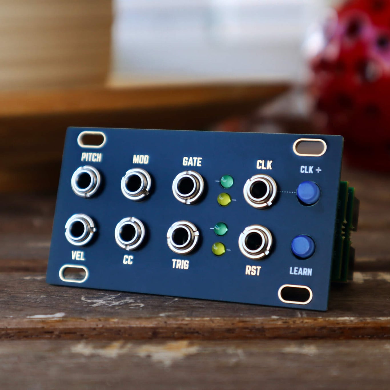 Midi 1U - Black & Gold Panel