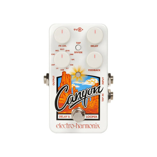 Canyon Delay & Looper
