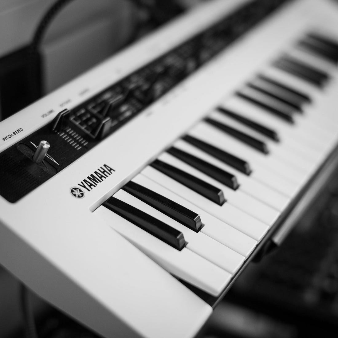 Introductory Synthesis Workshop: July 26, 2026