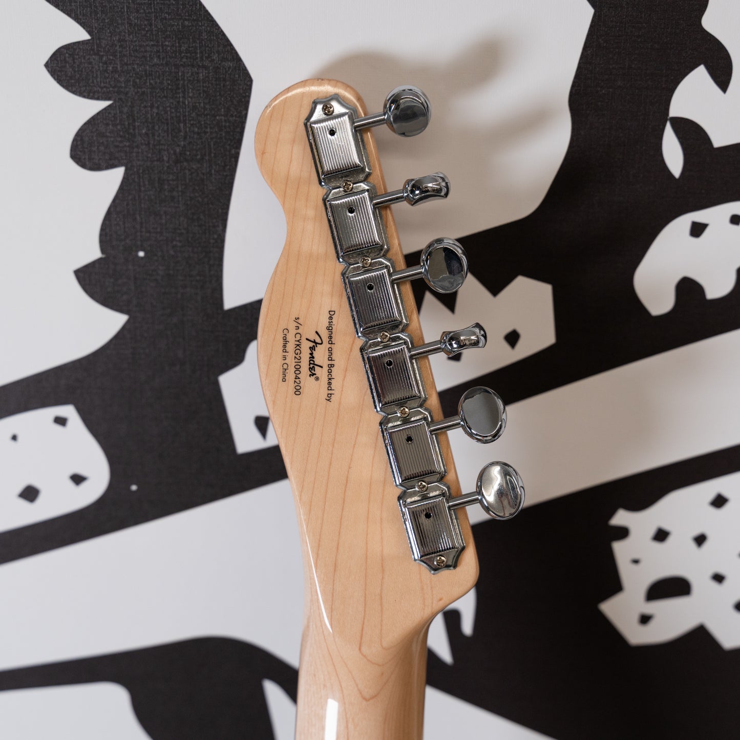 Paranormal Baritone Telecaster (Used)