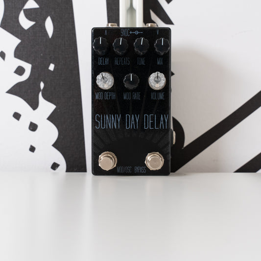 Sunny Day Delay (Used)