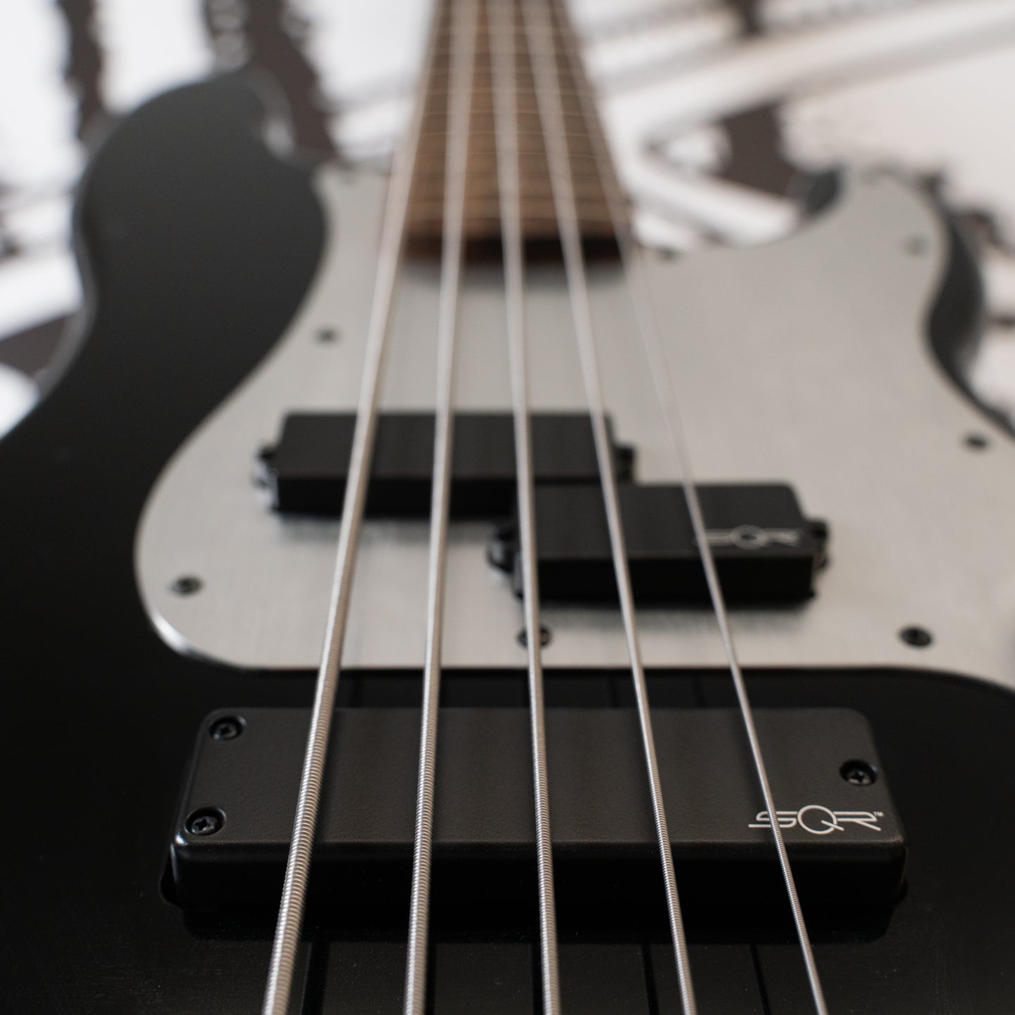 Contemporary Active Precision Bass V