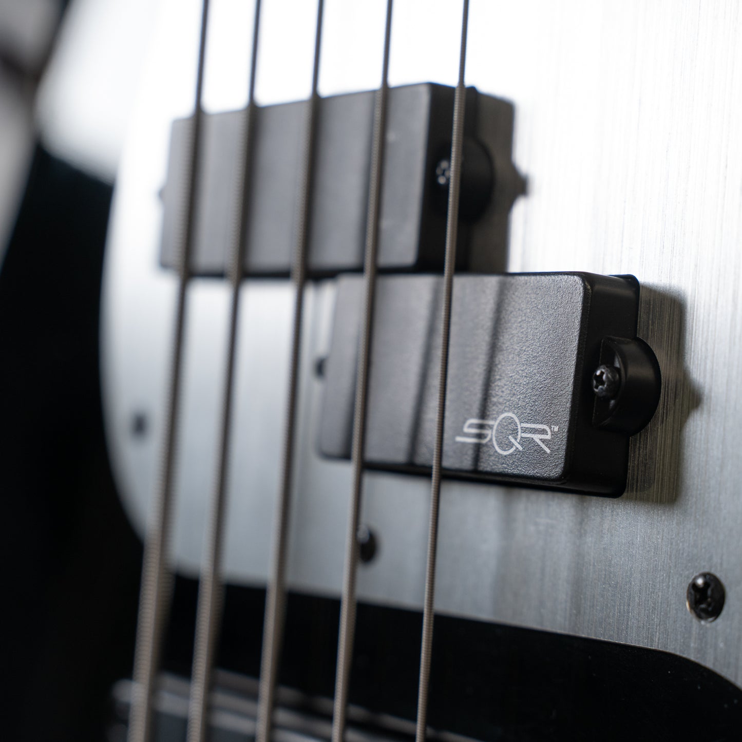 Contemporary Active Precision Bass V