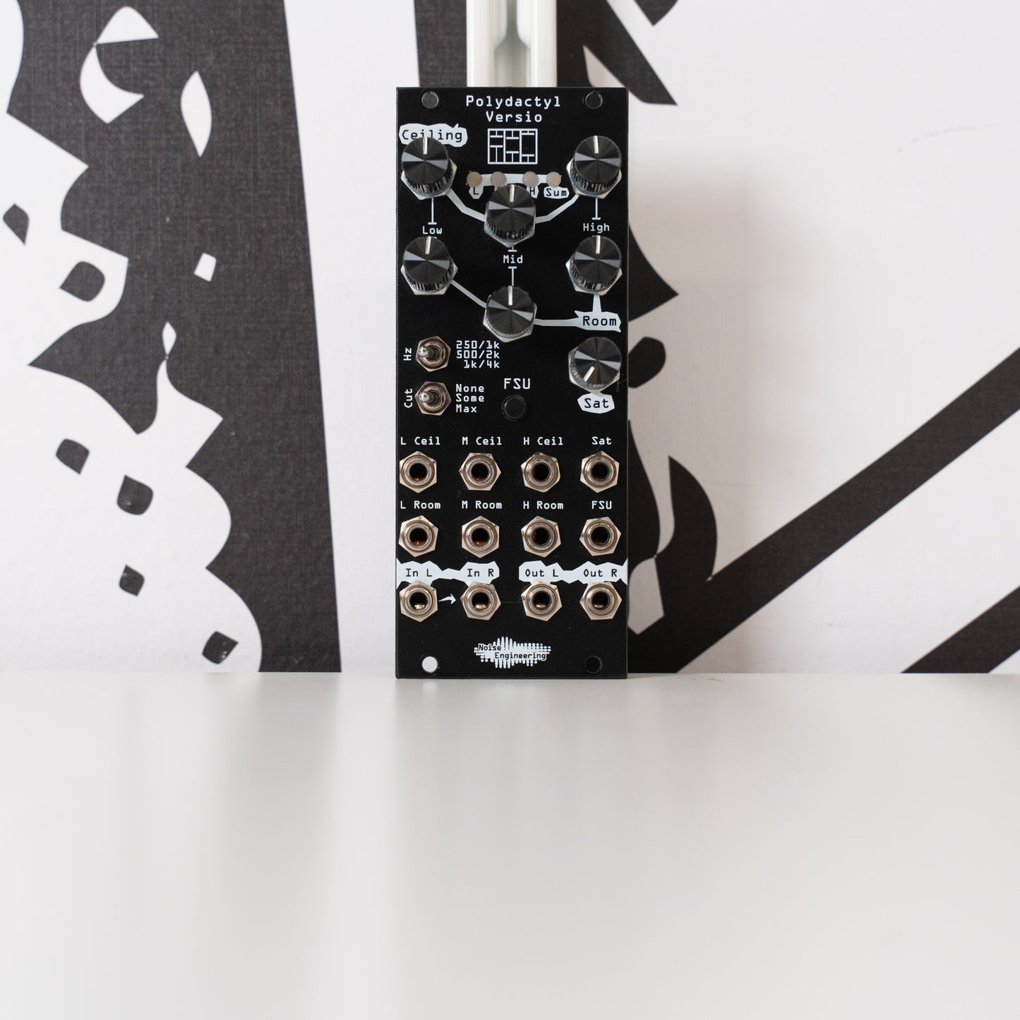 Polydactyl Versio (Used)