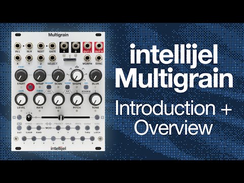 Multigrain – Cicada Sound