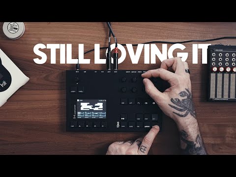 Torso S4 Sculpting Sampler – Cicada Sound