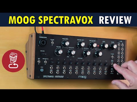 Spectravox – Cicada Sound