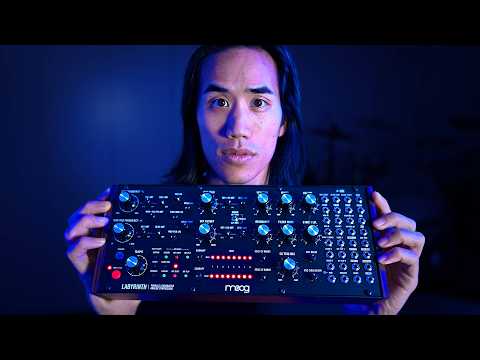 Moog Labyrinth – Cicada Sound