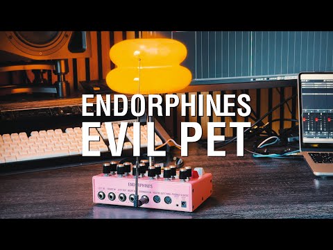 Endorphin.es EVIL PET グラニュラーシンセサイザー Endorphin.es Evil Pet Granular Box – Cicada Sound