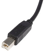 3' USB A to B Cable (M/M)