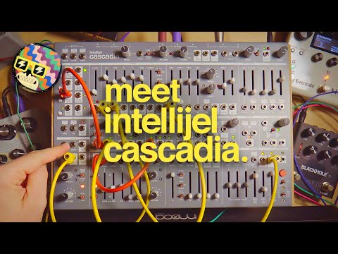 Intellijel Cascadia – Cicada Sound